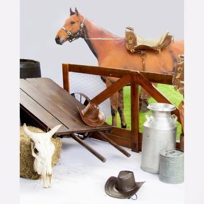 set vaquero